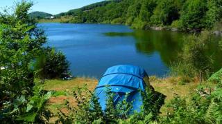 Camping La Romiguiere : Emplacement 45