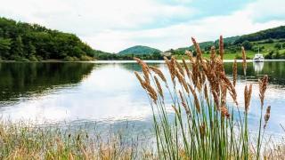 Camping La Romiguiere : Un bateau sur le lac