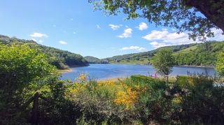 Camping La Romiguiere : Vue sur le lac mobilhome 11